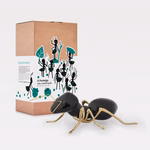 Formiga negra em faiança com caixa