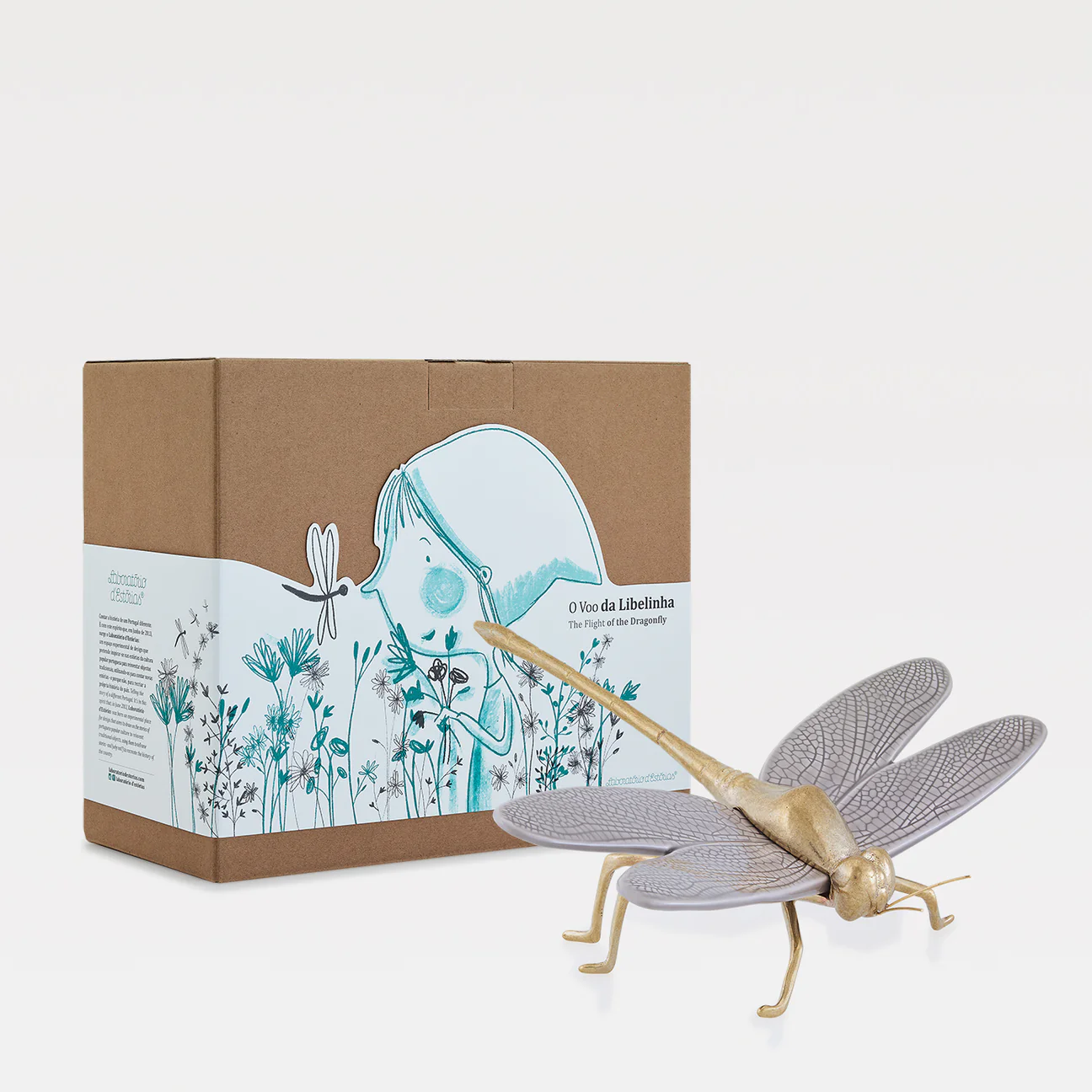 Libelinha e caixa